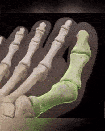 1685938698773981.gif 10020.gif